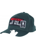Punks United Baseball Cap