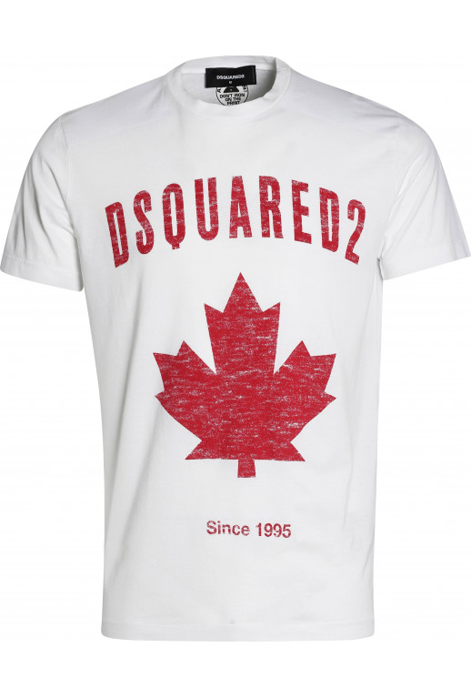 Since 1995 Flag T-Shirt
