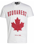 Since 1995 Flag T-Shirt