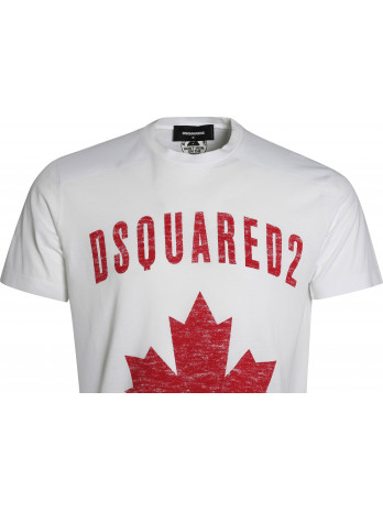 Since 1995 Flag T-Shirt