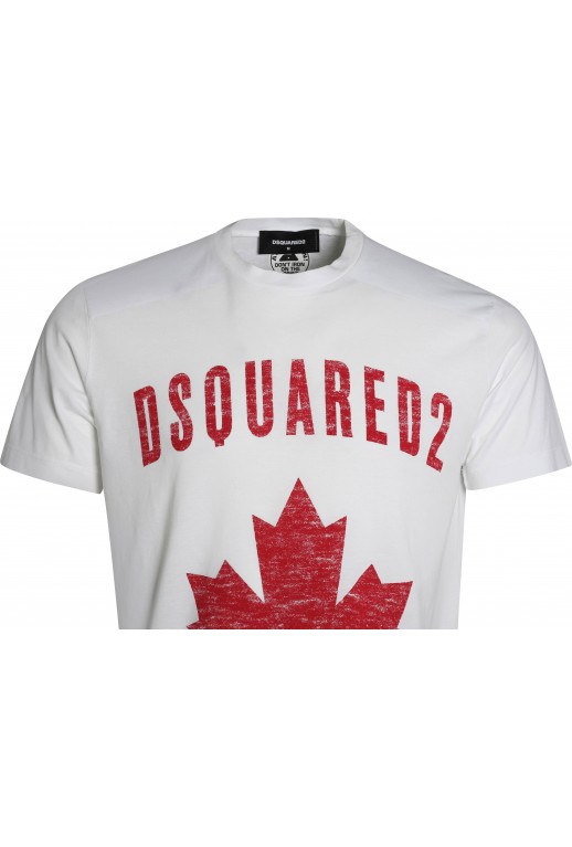 Since 1995 Flag T-Shirt