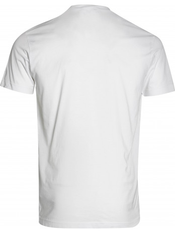 Since 1995 Flag T-Shirt