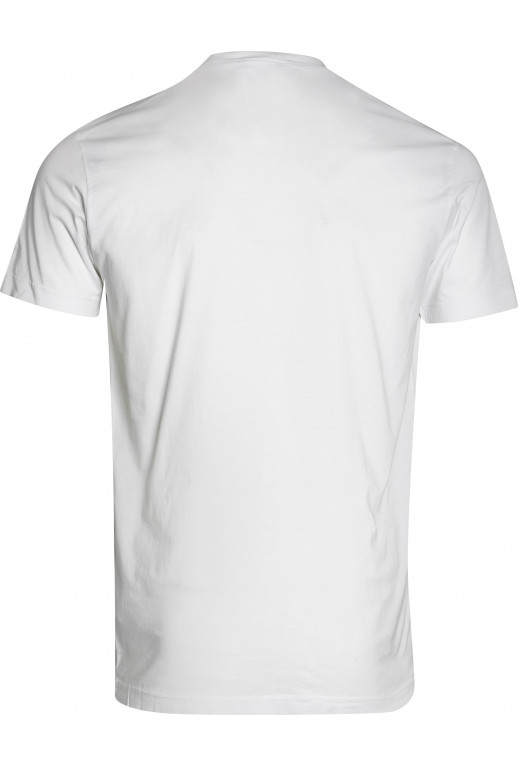 Since 1995 Flag T-Shirt