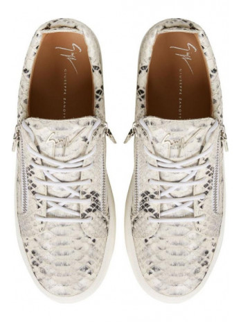 Giuseppe Zanotti