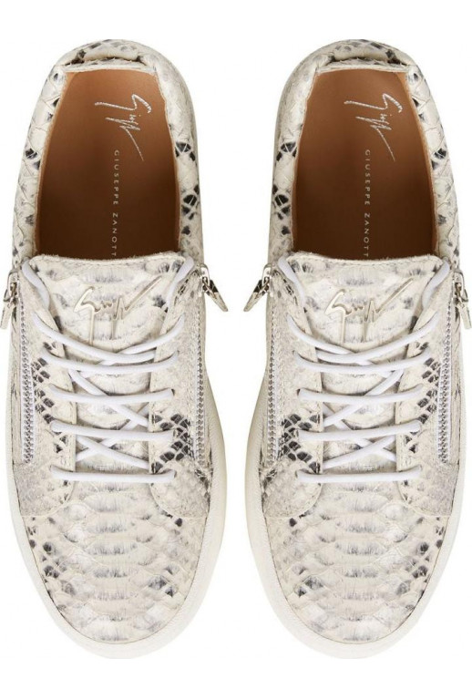 Giuseppe Zanotti