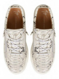 Giuseppe Zanotti