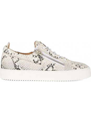 Giuseppe Zanotti