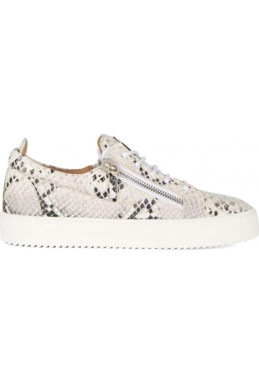 Giuseppe Zanotti