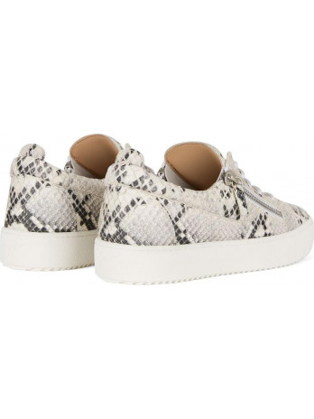 Giuseppe Zanotti