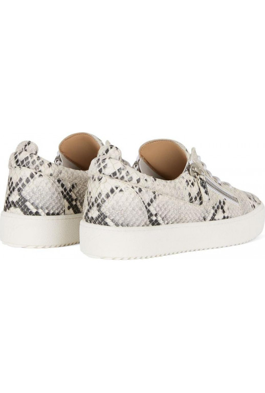 Giuseppe Zanotti