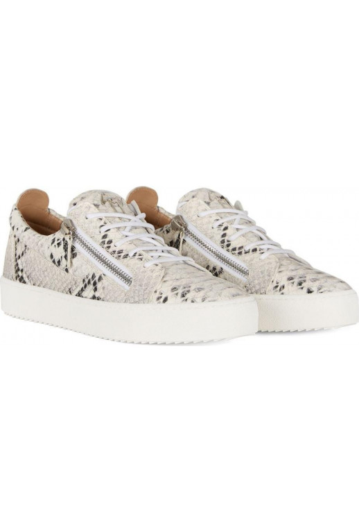Giuseppe Zanotti