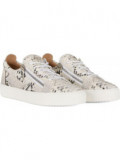 Giuseppe Zanotti
