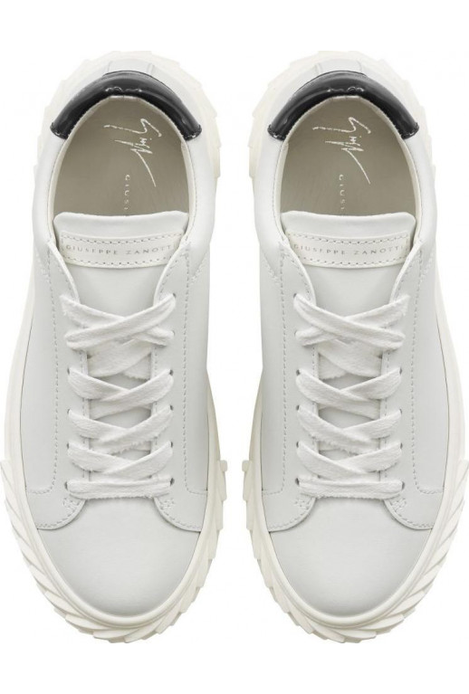 Blabber Sneaker Moxie