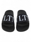 VLTN Slides
