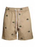 Broken Palm Shorts