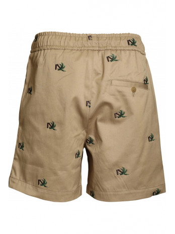 Broken Palm Shorts