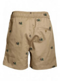 Broken Palm Shorts