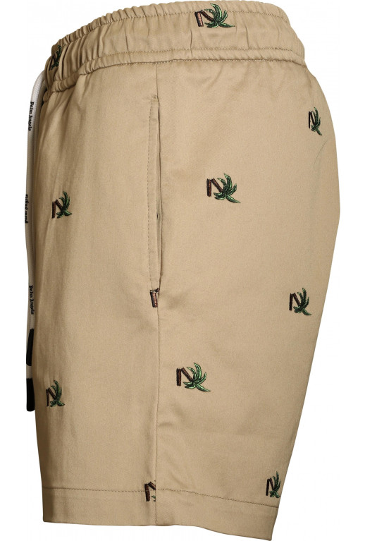 Broken Palm Shorts