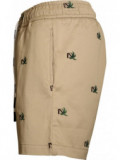 Broken Palm Shorts